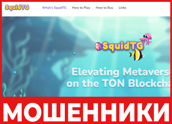 SquidTG лицевая сторона скрин