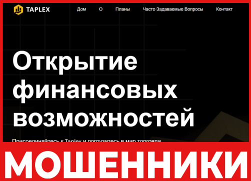 Taplex лицевая сторона скрин