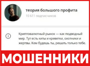 Теория Большого Профита лицевая сторона скрин