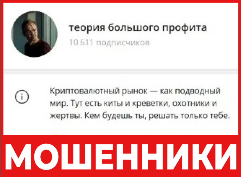 Теория Большого Профита лицевая сторона скрин