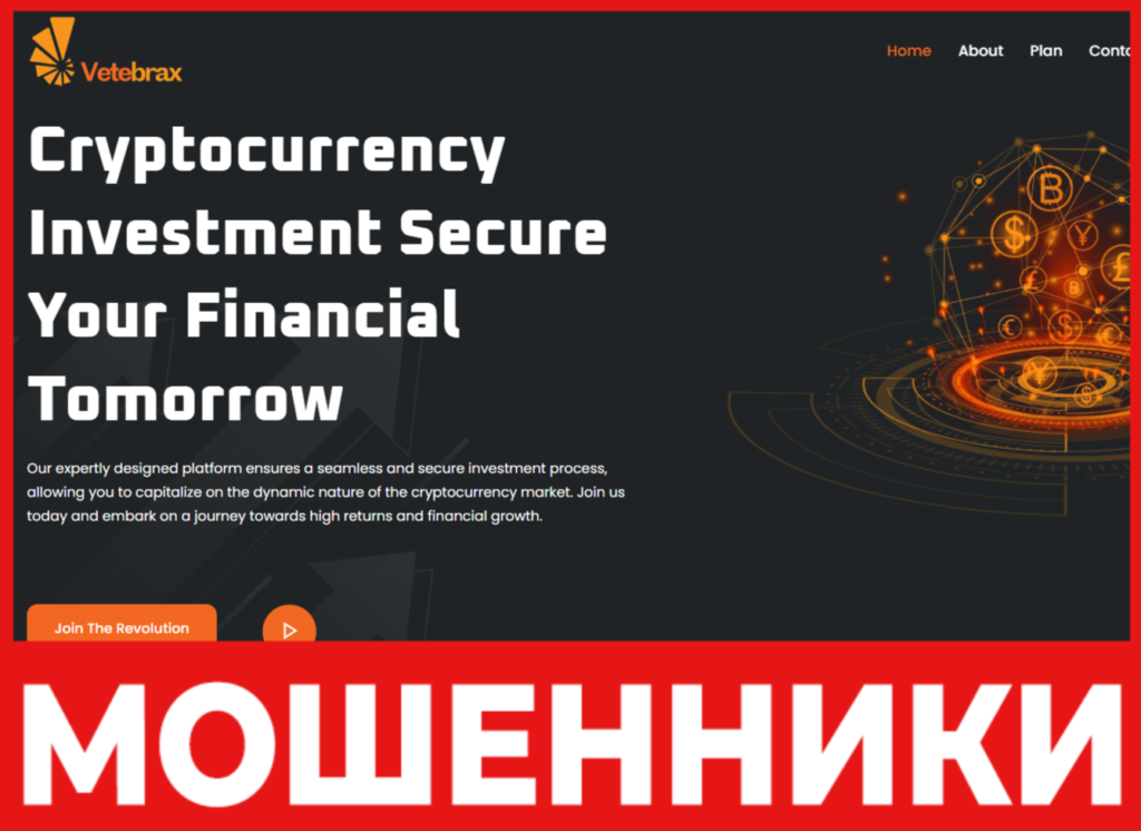 VetebraXChange лицевая сторона скрин