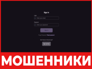 Vex Group лицевая сторона скрин