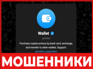 Wallet лицевая сторона скрин