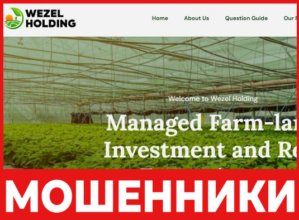 Wezel Holding лицевая сторона скрин