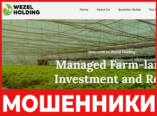 Wezel Holding лицевая сторона скрин