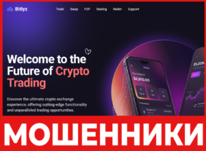 Bitlyz лицевая сторона скрин