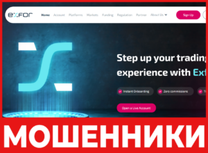 ExFor лицевая сторона скрин