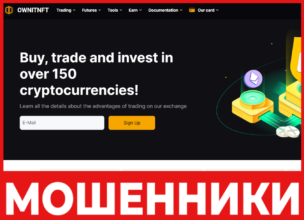 OwnItNFT лицевая сторона скрин