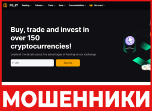 Piljy лицевая сторона скрин