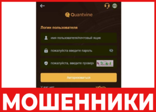 Quantvine лицевая сторона скрин
