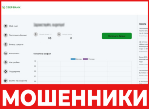 Sbri Ya14 лицевая сторона скрин