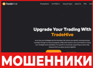 Trade Hive лицевая сторона скрин