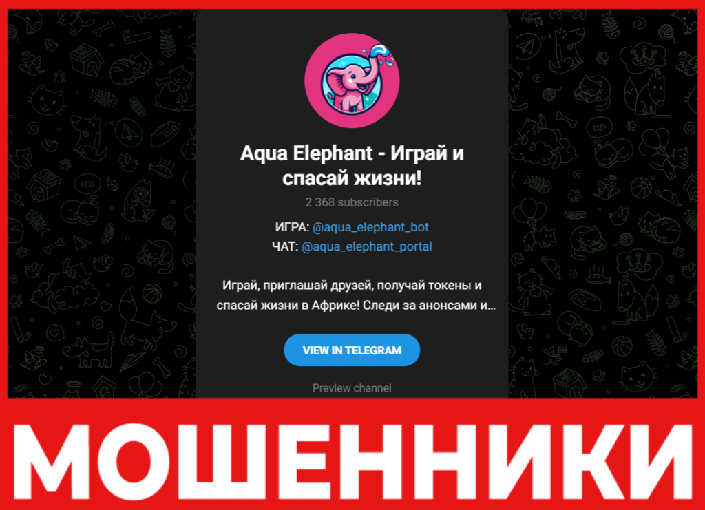 Aqua Elephant лицевая сторона скрин