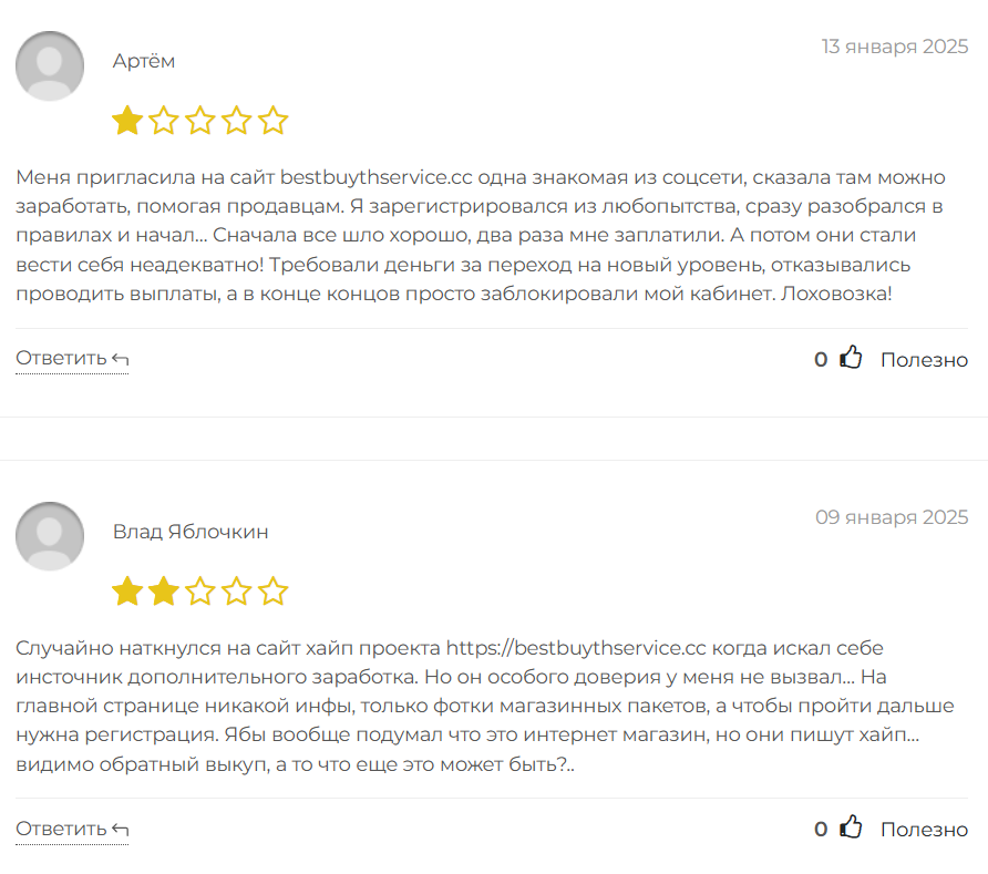 Bestbuythservice_1 скрин