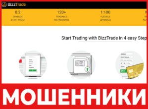 BizzTrade лицевая сторона скрин