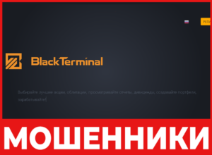 BlackTerminal лицевая сторона скрин