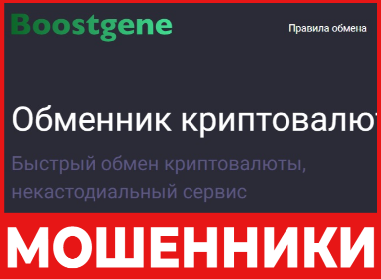 Boostgene лицевая сторона скрин