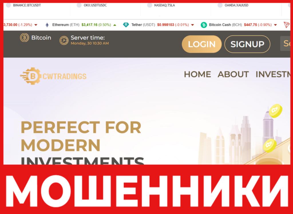 CW Tradins лицевая сторона скрин