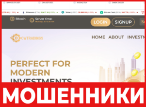 CW Tradins лицевая сторона скрин