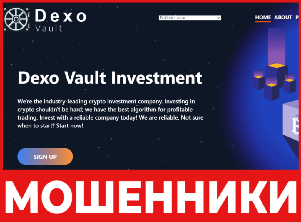 Dexo Vault лицевая сторона скрин