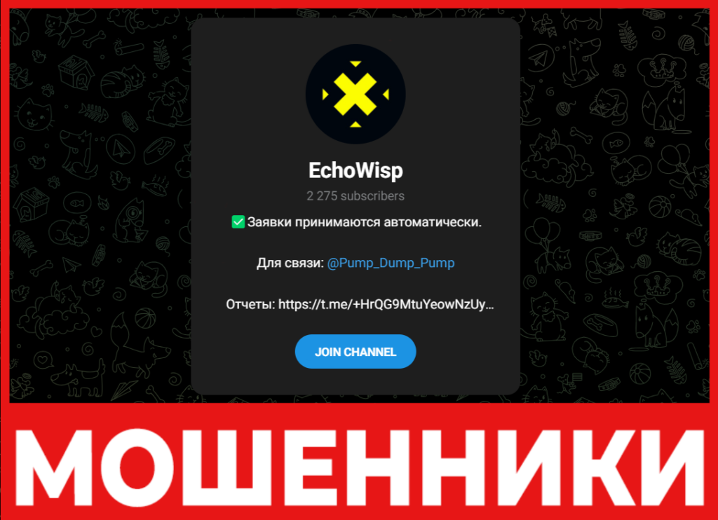 EchoWisp лицевая сторона скрин