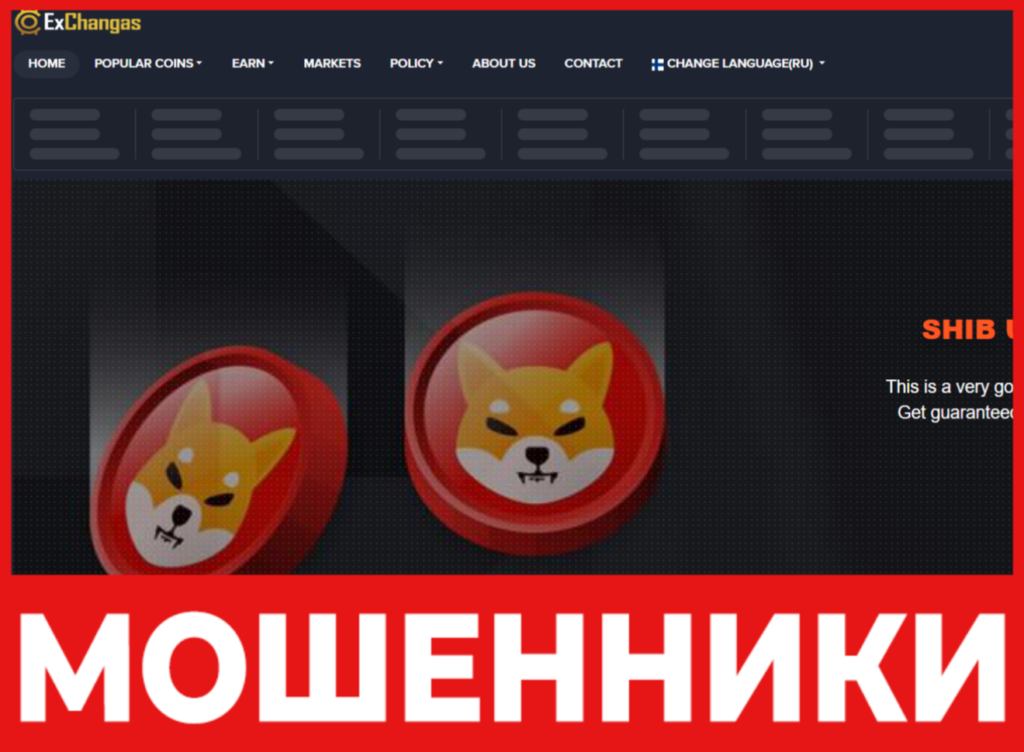 ExChangas лицевая сторона скрин