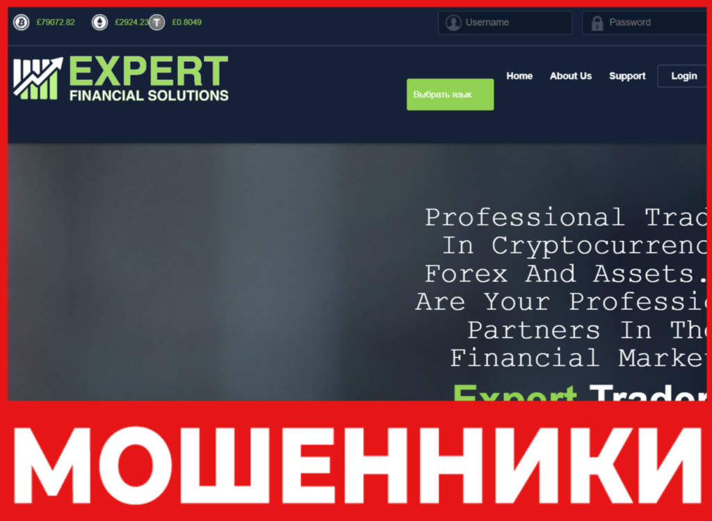 Expert Financial Solutions лицевая сторона скрин