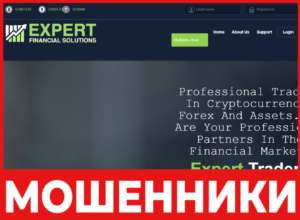 Expert Financial Solutions лицевая сторона скрин