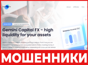 Gemini Capital FX лицевая сторона скрин