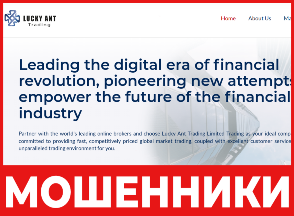 Lucky Ant Trading лицевая сторона скрин