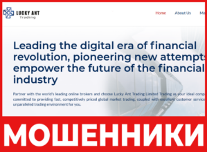 Lucky Ant Trading лицевая сторона скрин