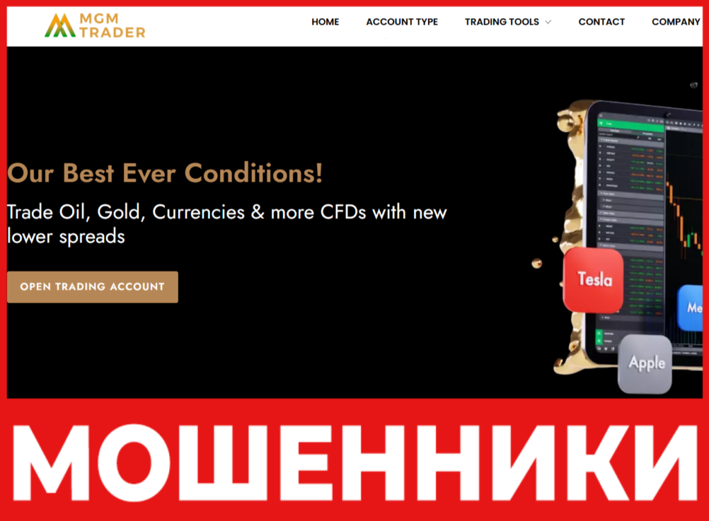 MGM Trader LTD лицевая сторона скрин