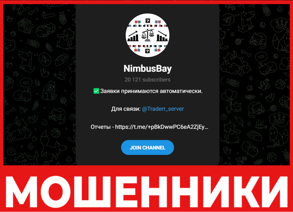 NimbusBay лицевая сторона скрин