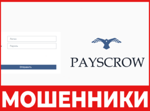 Payscrow Trader лицевая сторона скрин