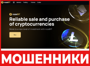 RozeBIT лицевая сторона скрин