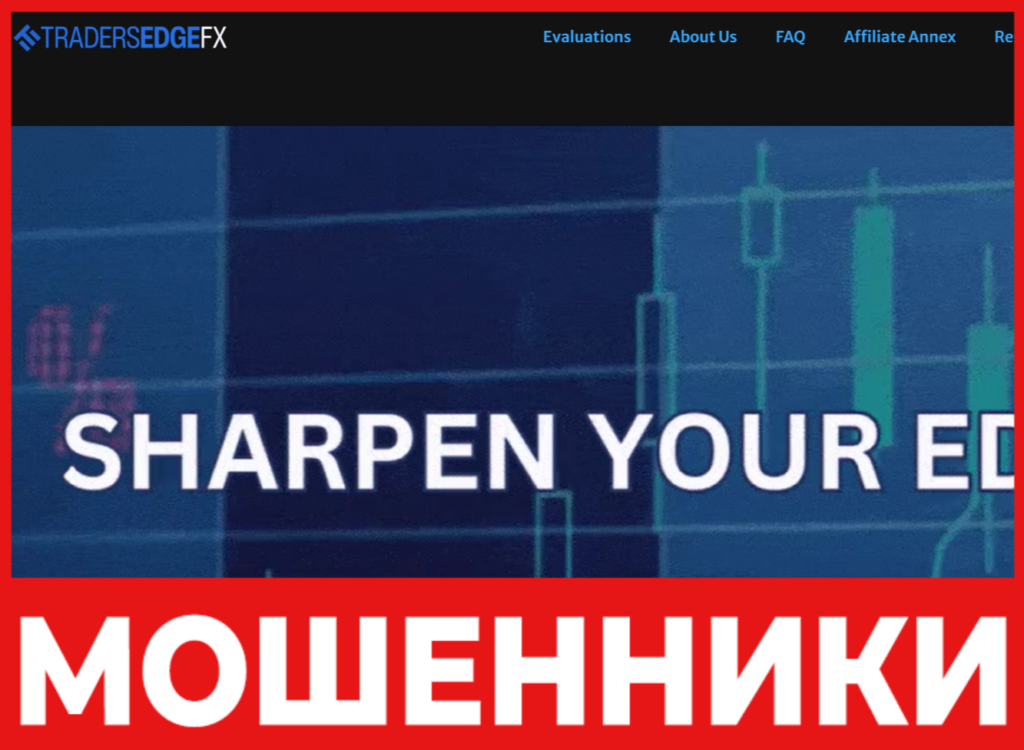 TraderSedgeFX лицевая сторона скрин