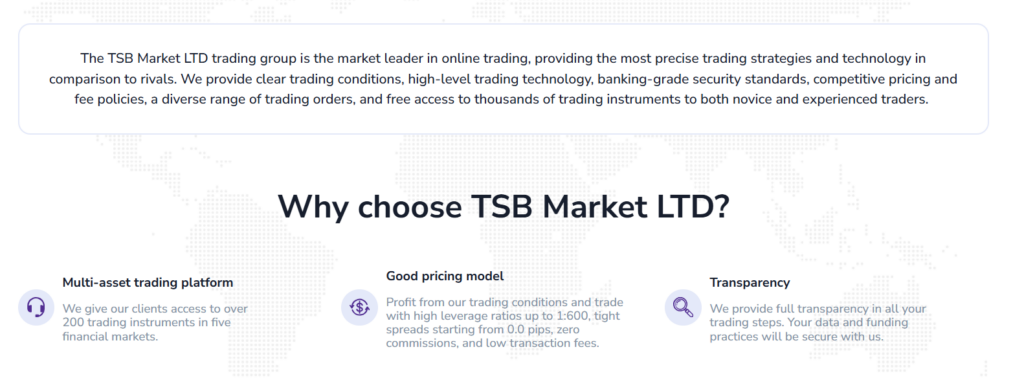 TSB Market LTD 2 скрин