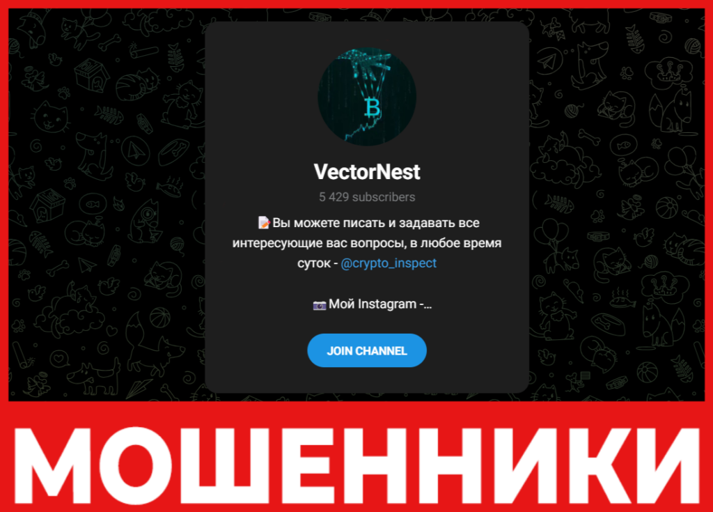 VectorNest лцевая сторона скрин