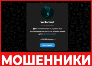 VectorNest лцевая сторона скрин