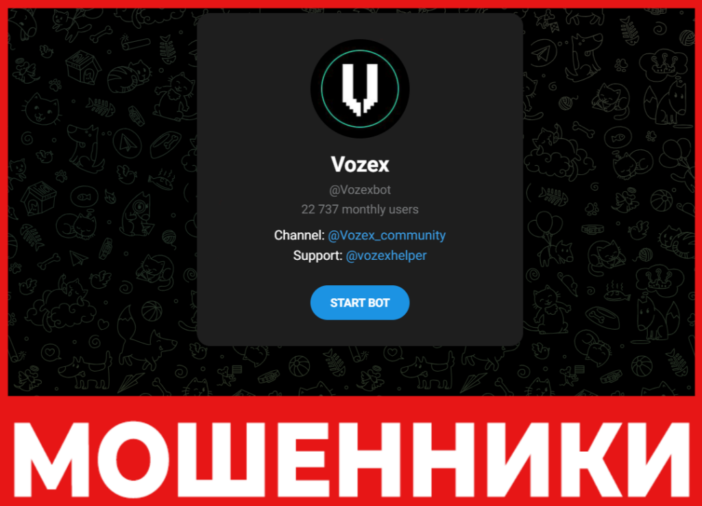 Vozex лицевая сторона скрин