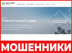 Waldora лицевая сторона скрин