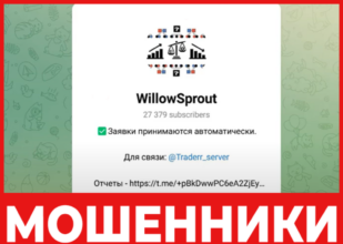 WillowSprout лицевая сторона скрин
