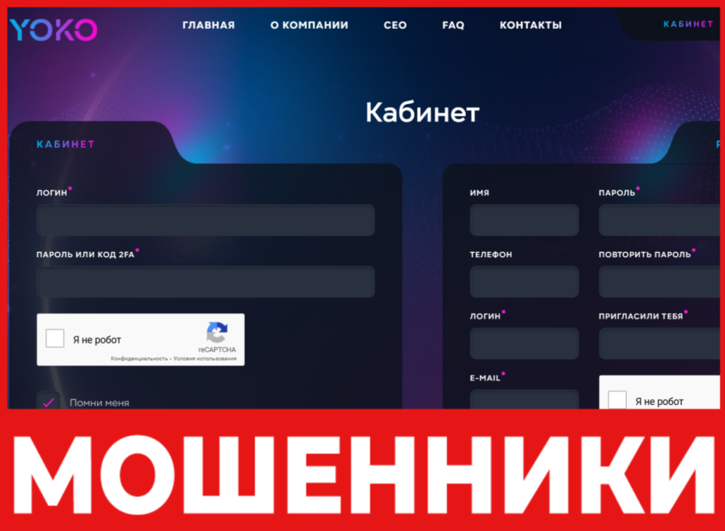 YOKO Zone лицевая сторона скрин