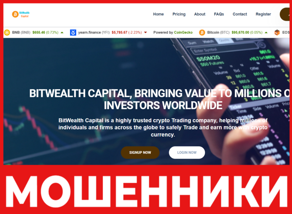 BitWealth Capital лицевая сторона скрин