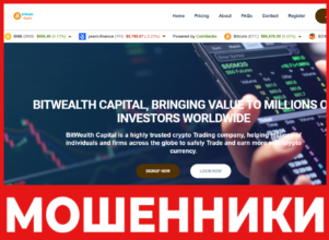 BitWealth Capital лицевая сторона скрин
