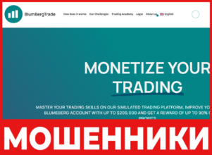 BlumBerg лицевая сторона скрин