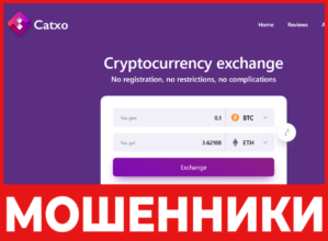 Catxo лицевая сторонаскрин