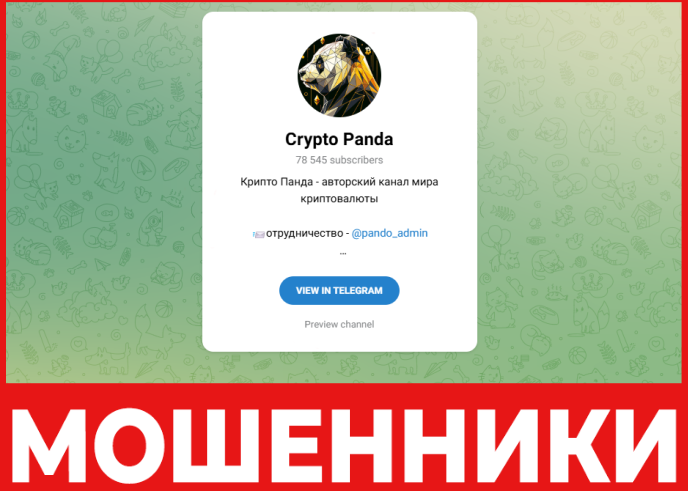 Crypto Panda лицевая сторона скрин
