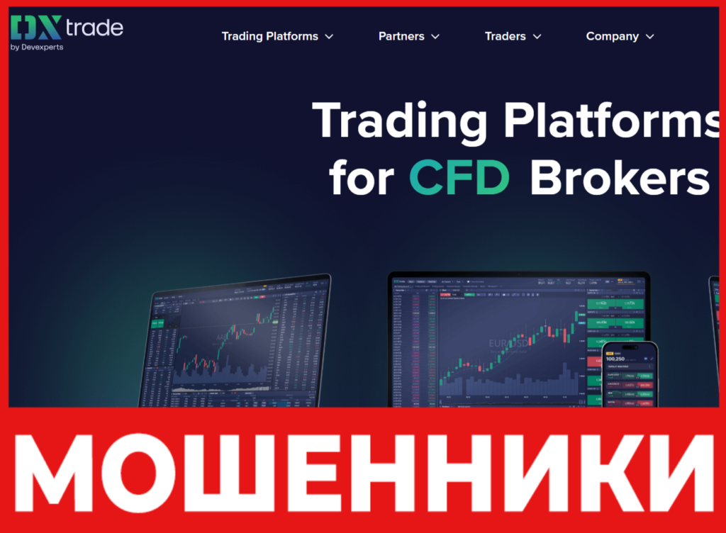 DX Trade лицевая сторона скрин