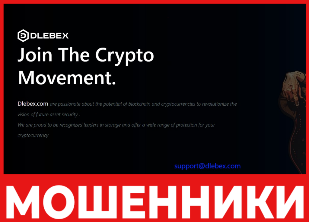 Dlebex лицевая сторона скрин